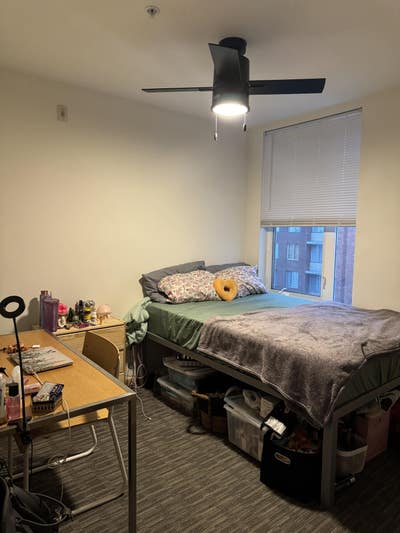 Fully Furnished UDistrict Room (girls preferred) Main Photo