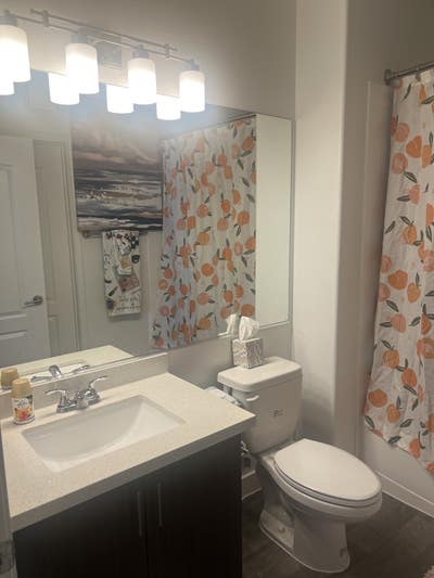     Quiet, Clean & Convenient Apartment Rental Main Photo