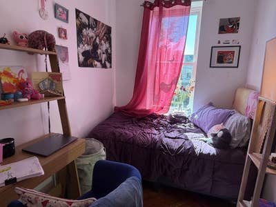 Sun-soaked, cosy brooklyn room needs sublet ASAP!! Main Photo