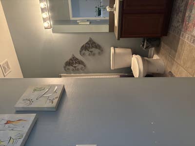 Renting a bedroom in Fishhawk, Lithia Fl Main Photo