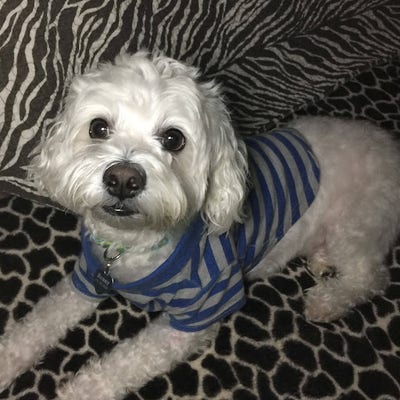 Female 48 looking for a room in Los Angeles Main Photo
