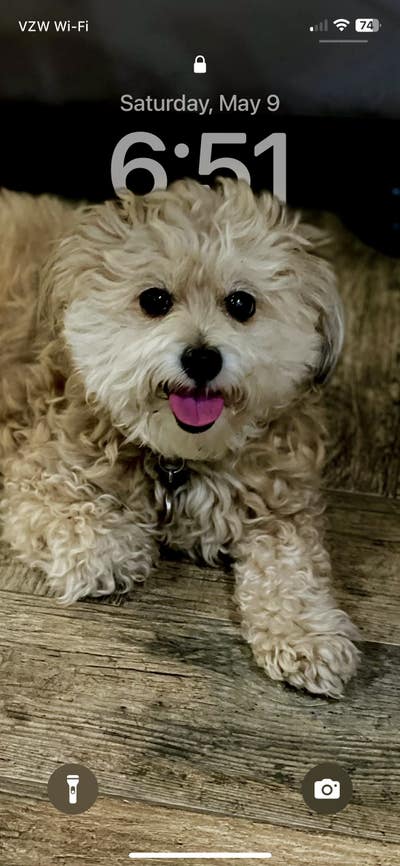 31 year old male looking for a room in Pasadena Main Photo