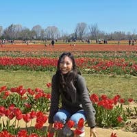Room wanted in North Bergen, Hudson County, NJ Main Photo