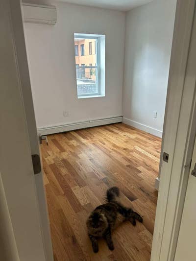 1 Bedroom available in 3 bed, 1 bath   Main Photo