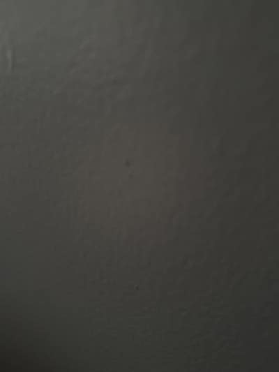 Room wanted in Bayonne, NJ Main Photo