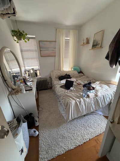 Large Room in Williamsburg Main Photo