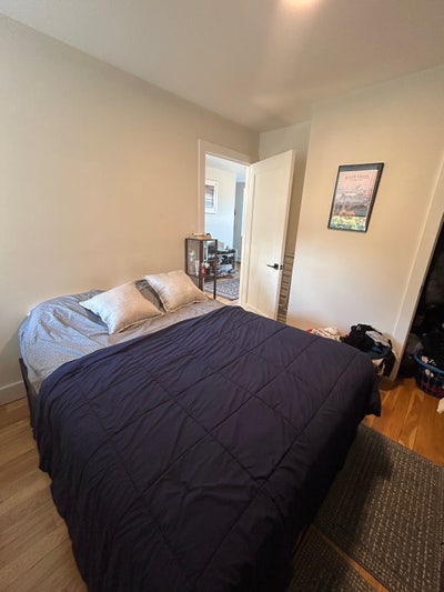 Quiet Room in Bedstuy Main Photo