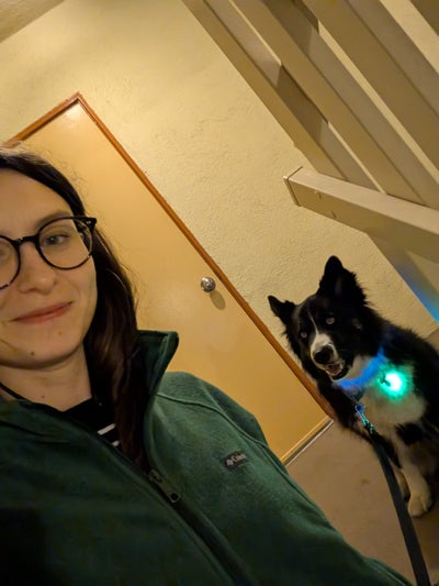 36 year old female looking for South Bay room Main Photo