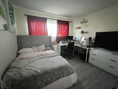 Room for Rent Main Photo