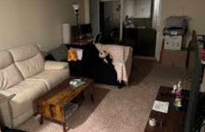 Huge Renovated Room for Rent Main Photo