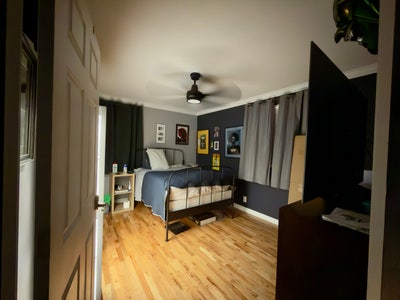 1 bedroom  Main Photo