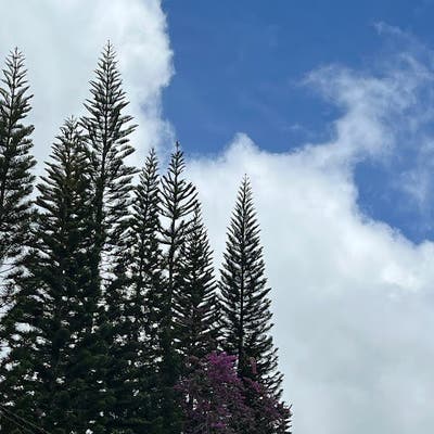 Seeking room/roommate - budget below $800 Main Photo