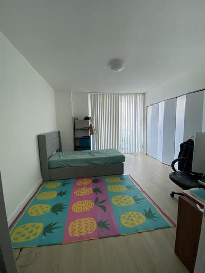 Looking for an easy going roommate  Main Photo