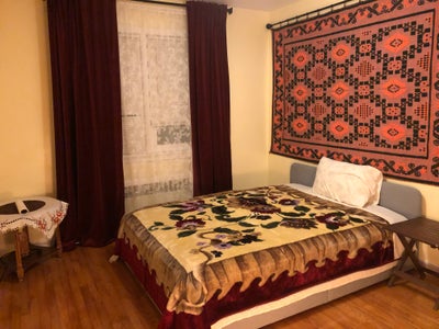 Room for Rent – Bright, Spacious, Great Location Main Photo