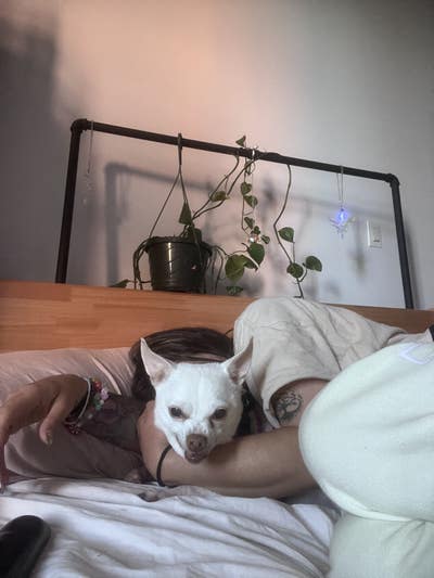 Room wanted in New York Main Photo