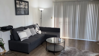Room in 2B/2B available June 1st! (West LA) Main Photo
