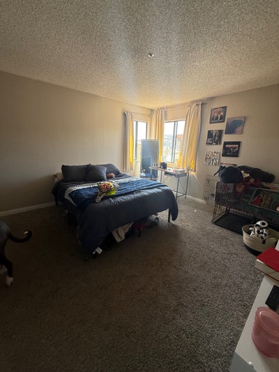Room for Rent in Vista! Main Photo