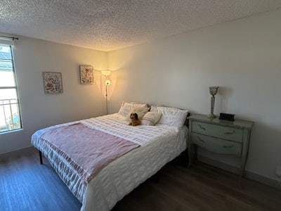 Private Bedroom + Bathroom in 2BR/2BA in UC! Main Photo