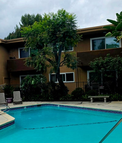 Looking for a like minded individual to rent room  Main Photo