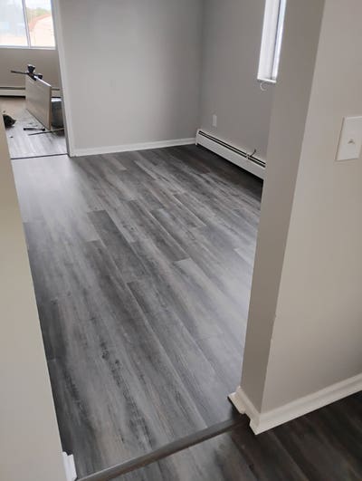 Very LARGE Newly Updated Private Apt Main Photo