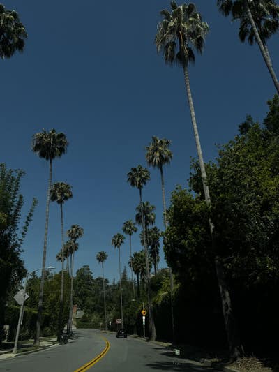 Room wanted in West Hollywood, Los Angeles, CA Main Photo