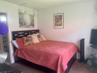 Room in Hungtington Beach - Mile Away from Ocean Main Photo