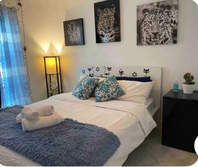     Cozy Room in Family Home for Responsible Male Main Photo