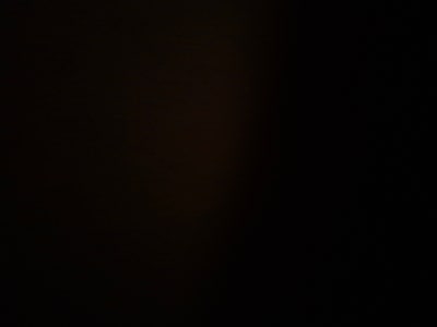 Room wanted in Bay Ridge / Fort Hamilton, Brook... Main Photo