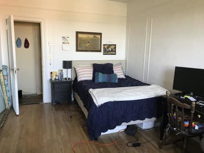 Large sunny room in Clinton Hill Bk. Main Photo