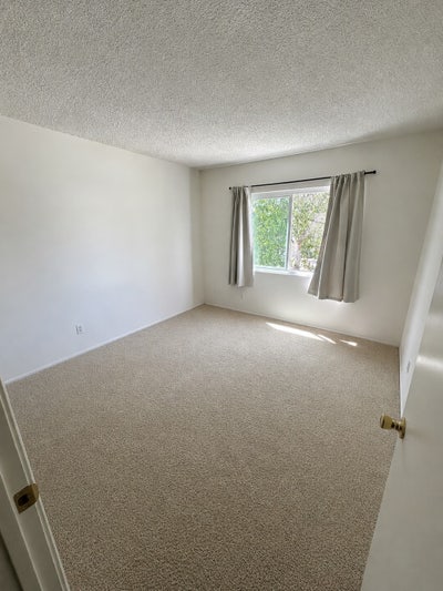 Room in Sunny 3bd 2bth Apartment Main Photo