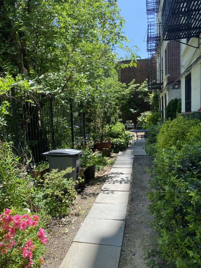 Seeking LGBTQIA person/ally roommate Main Photo
