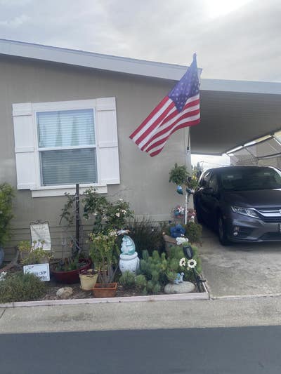 55 and older. Easy going person  Main Photo