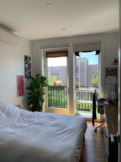 Affordable Bedstuy Apartment Main Photo