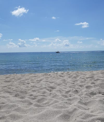 Room wanted in Tampa, FL Main Photo
