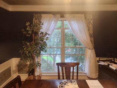 Quiet Professional Rooms for Rent (2 Available) –  Main Photo