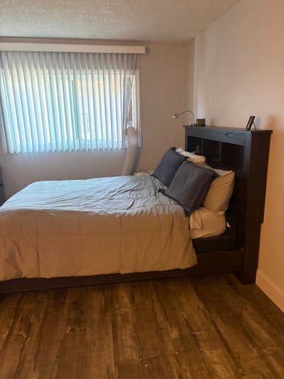 Large Spacious Room for rent! Main Photo