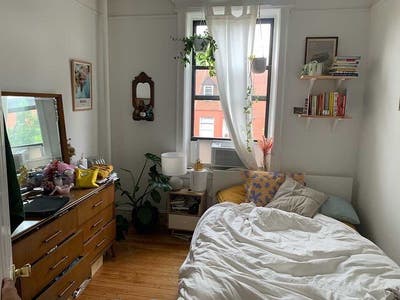 Female roommate - well lit room in Clinton hill  Main Photo