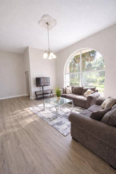 Spacious & Comfy Home Near USF Main Photo