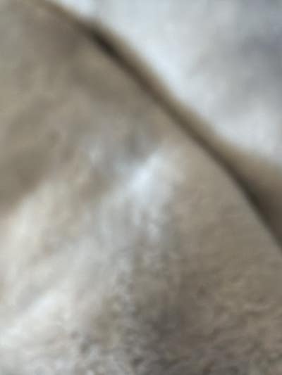 Room wanted in Phoenix Main Photo