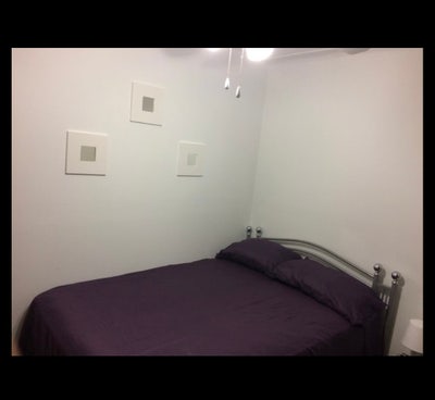 Nice Room For Rent  Main Photo