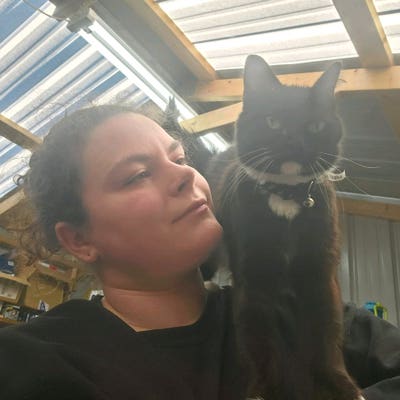 Room wanted in Lebanon, Wilson County, TN Main Photo