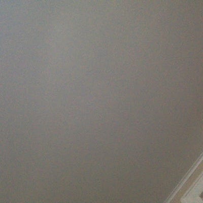 Room wanted in Tucson Main Photo