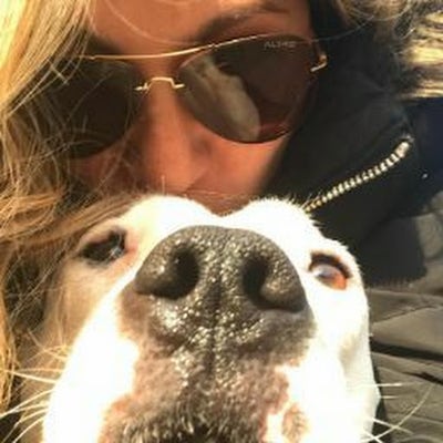 Room wanted in Flushing, Queens, NY Main Photo