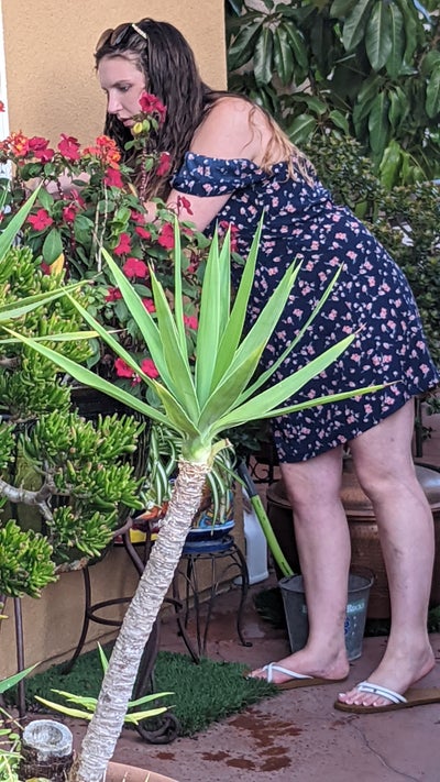 Room wanted in Santee, CA Main Photo