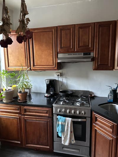 Prospect Lefferts Gardens Studio for June Sublet! Main Photo