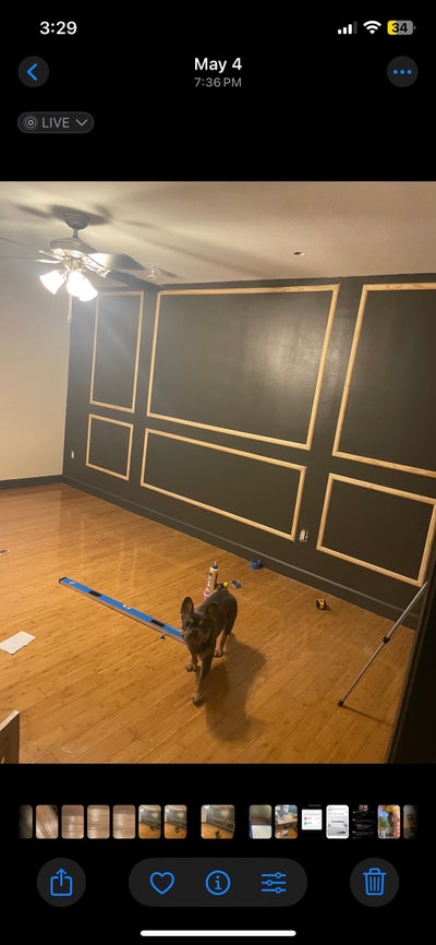1 room Condo for rent Main Photo