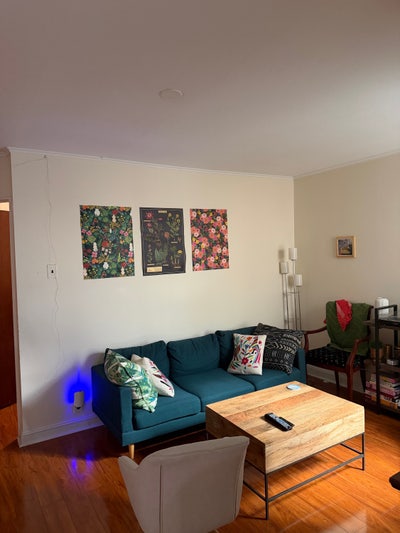 1 bed 1 bath apartment  Main Photo