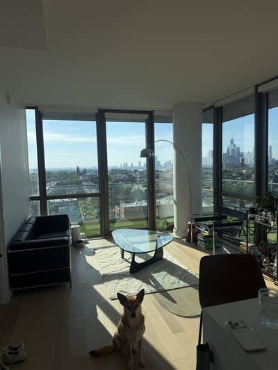 New Luxury Building in Brooklyn Main Photo