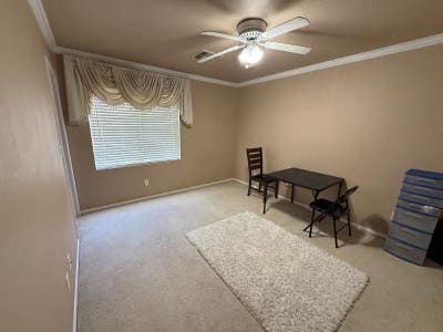 Downstairs BR with private bathroom for $850  Main Photo