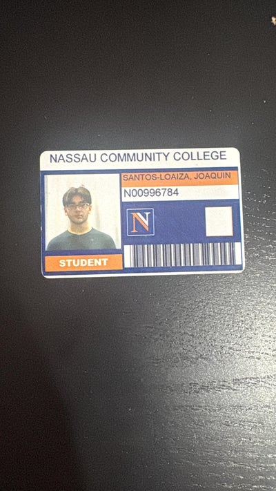 Room wanted in Long Island City, Queens, NY Main Photo